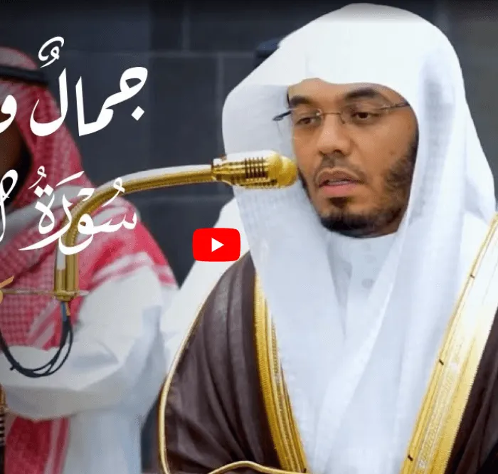 فيديو1