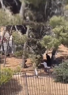 صورة من مشاجرة طلاب الجامعة