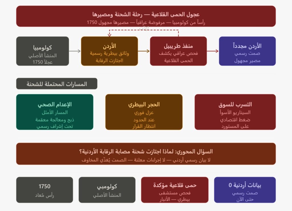 عجول مصابة بالحمى القلاعية على الحدود الأردنية.. والصمت الرسمي يُعمّق المخاوف