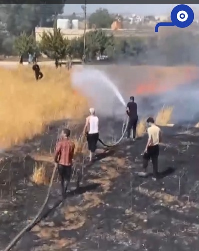 بشجاعة نادرة.. شاب من صمّا يحول دون احتراق 20 دونماً من القمح