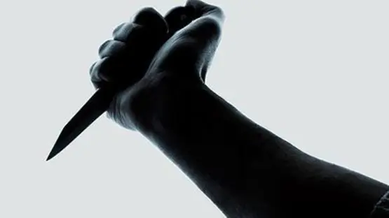جريمة ظلت مدفونة 11 عاماً.. اعتراف الزوجة ينهي اللغز
