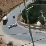العناية الإلهية تنقذ معلمين بعد سقوط مركبتهما في وادي سحيق بإربد