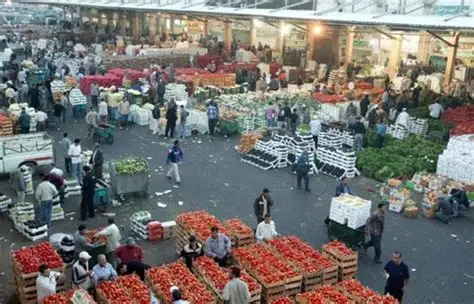 البندورة بـ8 قروش.. 2335 طنًا من الخضار ترفد السوق المركزي اليوم